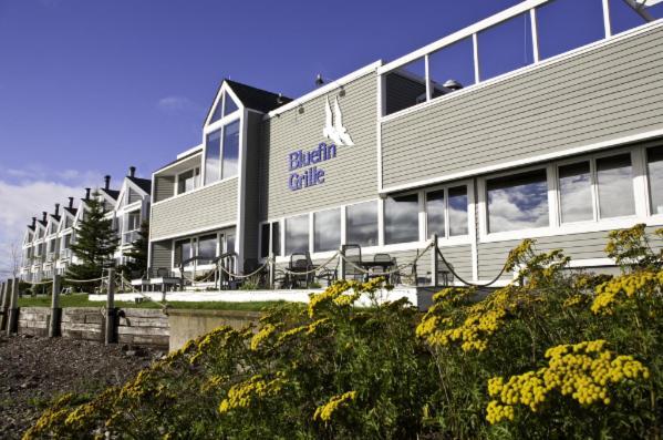 Bluefin Bay On Lake Superior Tofte المظهر الخارجي الصورة
